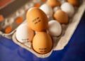 Ovos terão data de validade impressa na casca a partir de março