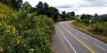 Nova 381 passa a integrar a maior iniciativa voluntária de sustentabilidade corporativa do mundo